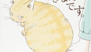 Seven Seas Licenses I Like Cat Butts, Gilded Seven, Give Me a Hug, Mr. Frog!, 4 More Titles
